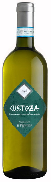 183 pignetto custoza.jpg