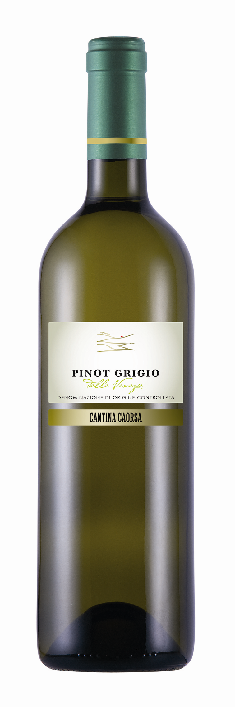 Caorsa Pinot grigio.jpg