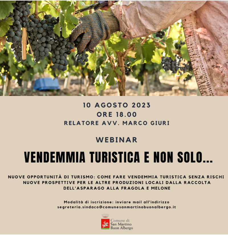 vendemmia